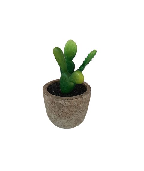 Cactus Replica Succulent1 – Neel Group
